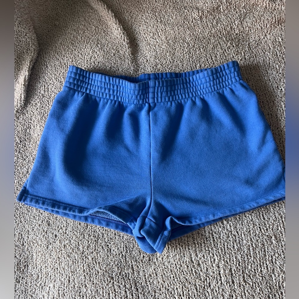 Aritzia. Shorts. Blue